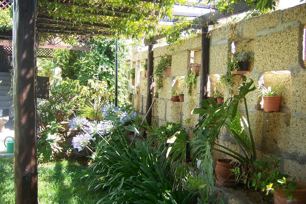 Casa Rural Anton Piche With Pool-Adults Only Granadilla De Abona Exterior photo