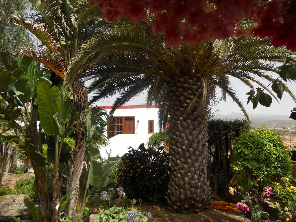 Casa Rural Anton Piche With Pool-Adults Only Granadilla De Abona Exterior photo